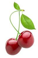 Cherry isolated on white background photo