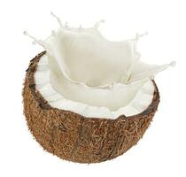 Coconut milk splash isolated on white background photo