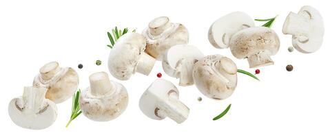 Falling mushrooms collection, champignons isolated on white background photo