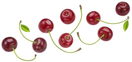 Cherry isolated on white background, full depth of field photo
