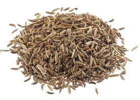 Cumin or caraway seeds isolated on white background photo