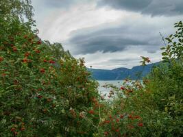 ship cruise in norway photo