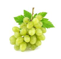 Green grape isolated on white background. Studio shot photo