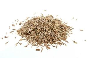 Cumin seeds isolated on white background photo