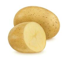 Potato isolated on white background photo