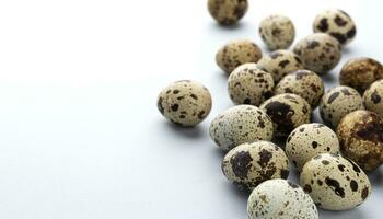 Fresh quail eggs isolated on white background with copy space photo