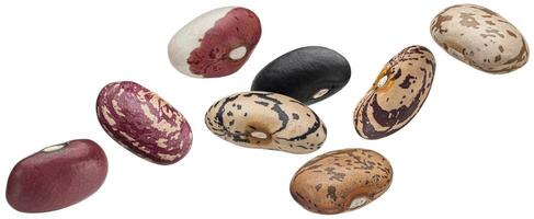 Kidney beans collection, different types of legumes isolated on white background photo