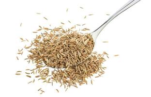 Cumin seeds or caraway in spoon isolated on white background photo