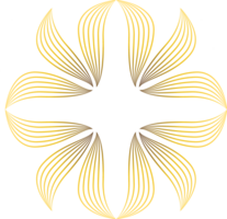 luxury golden flower petal png