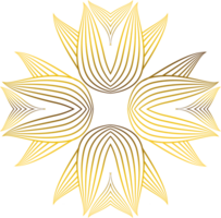 lusso d'oro fiore petalo png