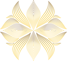 luxo dourado flor pétala png