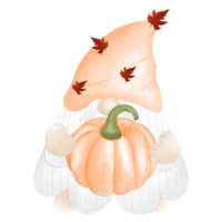 cutie gnome wear orange hat png