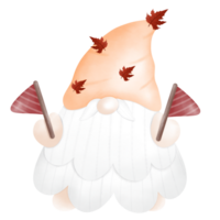 sötnos gnome ha på sig orange hatt png