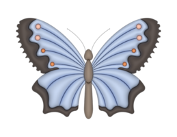 blue butterfly clipart png