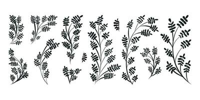 Decorative botanical doodle twigs with leaves. Set of vector isolated black branches.