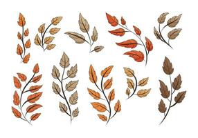 Autumn doodle tree branches with red and yellow dried leaves. Set of vector isolated botanical decorative twigs.