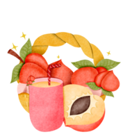 Peach fruit, hand drawn, translucent background png