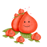 Peach fruit, hand drawn, translucent background png