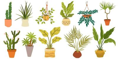 Urban jungle, House plants, fashionable home decor with plants, cacti, tropical leaves in stylish pots and wicker baskets. Flat vector illustration isolated on white background