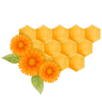 abelha casa, favo de mel, abelha habitação png