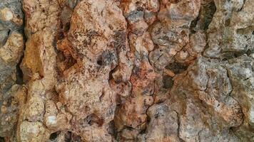 4k Cracked pietra superficie. naturale di il Marrone roccia struttura. selettivo messa a fuoco. copia spazio. video