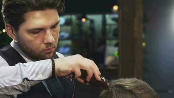 Professional barber trimming hair of his client video