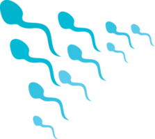 Human Sperms Attack PNG Illustration