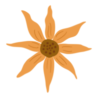 Single yellow daisy flat cartoon PNG