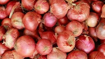 Red onion close-up. Horizontal footage of red onion, Fresh organic onion rotation background video