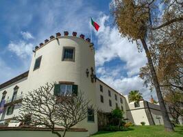 spring time in funchal madeira photo