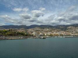 spring time in funchal madeira photo