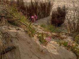 the island of Spiekeroog in germany photo