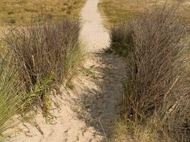 the beach of Spiekeroog photo