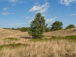 the island of Spiekeroog photo