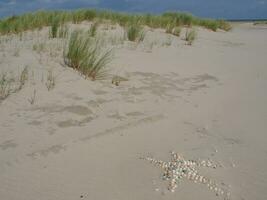 la isla de spiekeroog foto