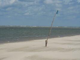 spiekeroog island in germany photo