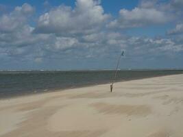 isla spiekeroog en alemania foto