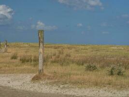 the island Spiekeroog photo