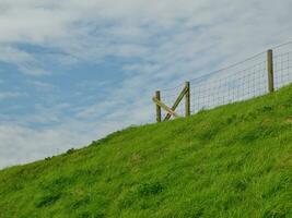 the island Spiekeroog photo