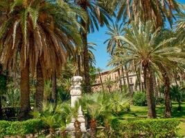 the city of Palermo in italy photo