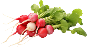 Radish png with AI generated.