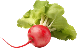 Radish png with AI generated.