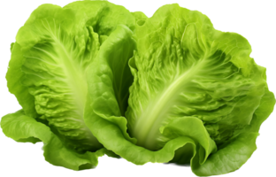 Lettuce png with AI generated.