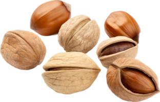 Nuts png with AI generated.