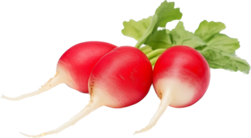 Radish png with AI generated.