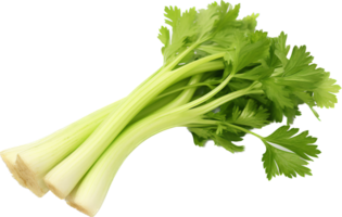 Celery png with AI generated.