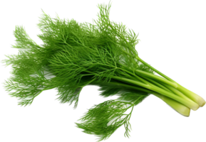 Dill png with AI generated.