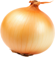 Onion png with AI generated.