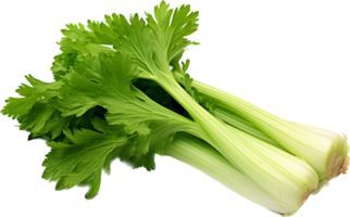 Celery png with AI generated.