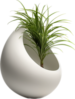 Plant pot png with AI generated.